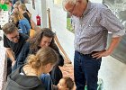 IMG 4283