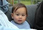 IMG 4502